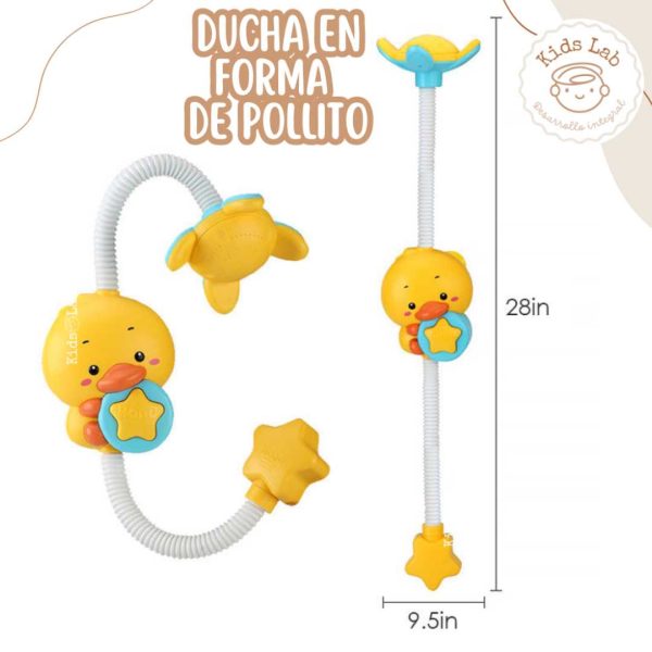 REGADERA POLLITO