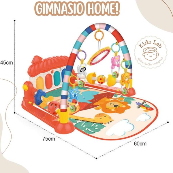 GIMNASIO HOME HUANGER