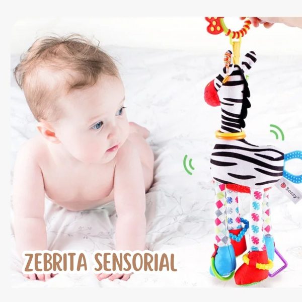 ZEBRITA SENSORIAL