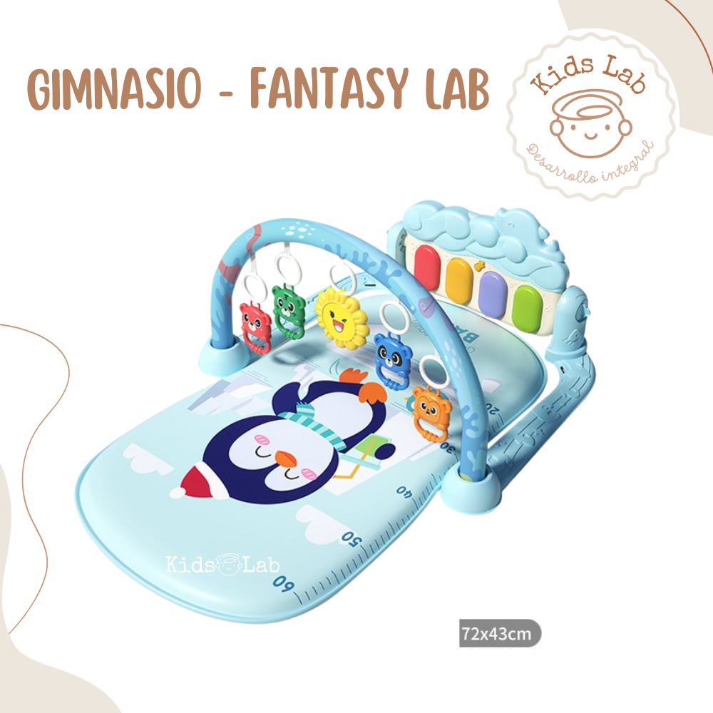 GIMNASIO FANTASY LAB