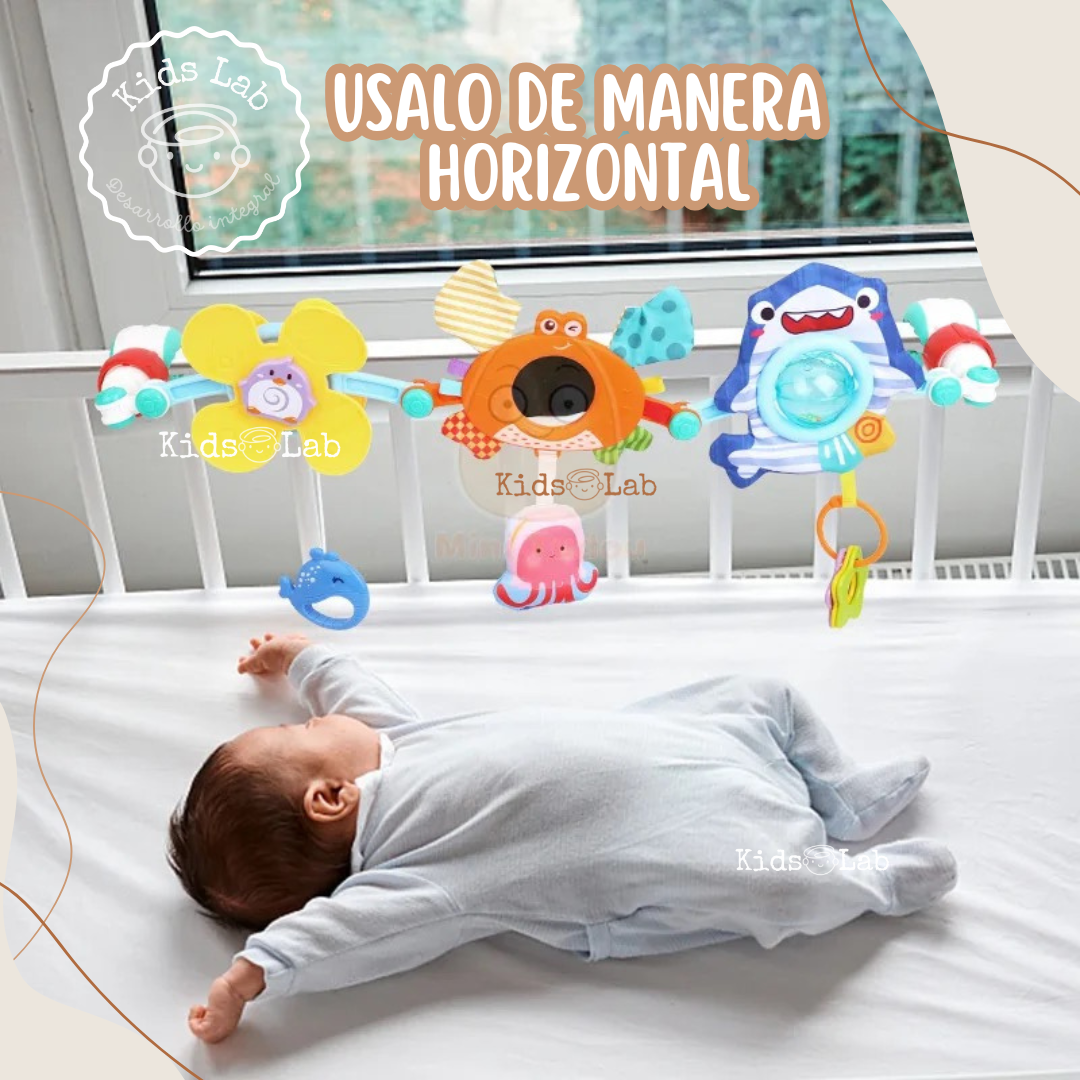 ARCO MARINO SENSORIAL