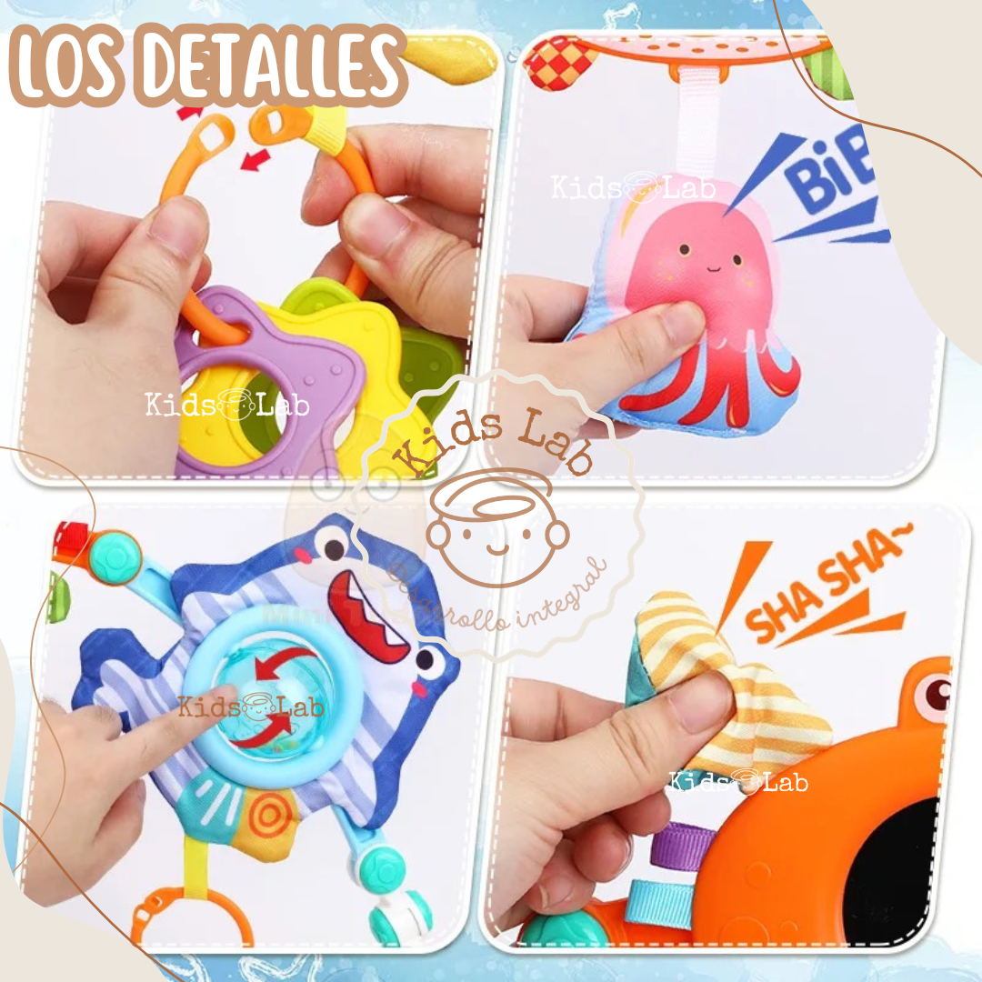 ARCO MARINO SENSORIAL