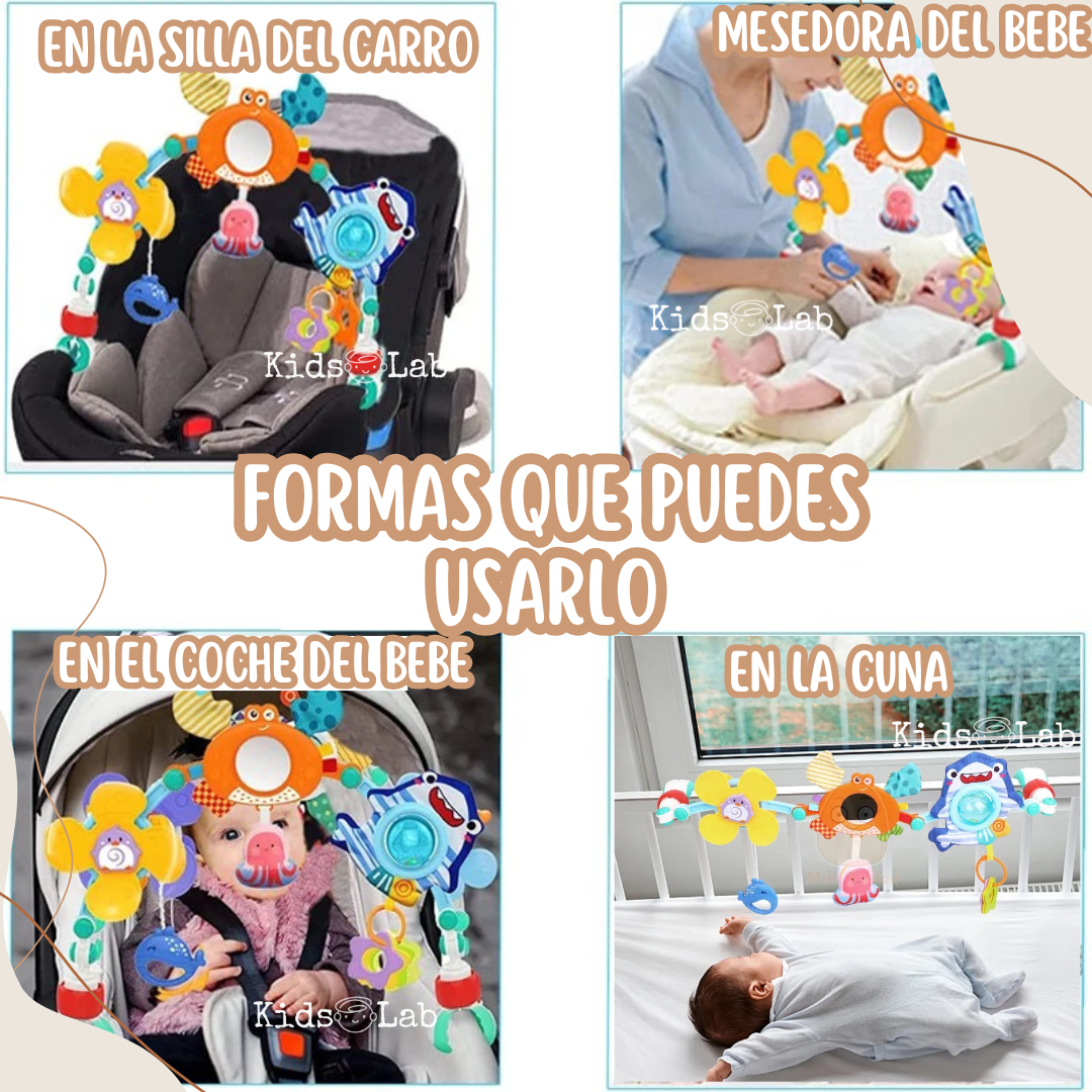 ARCO MARINO SENSORIAL